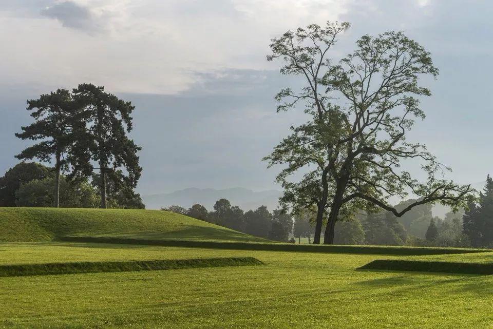 阳光大草坪的十种处理手法