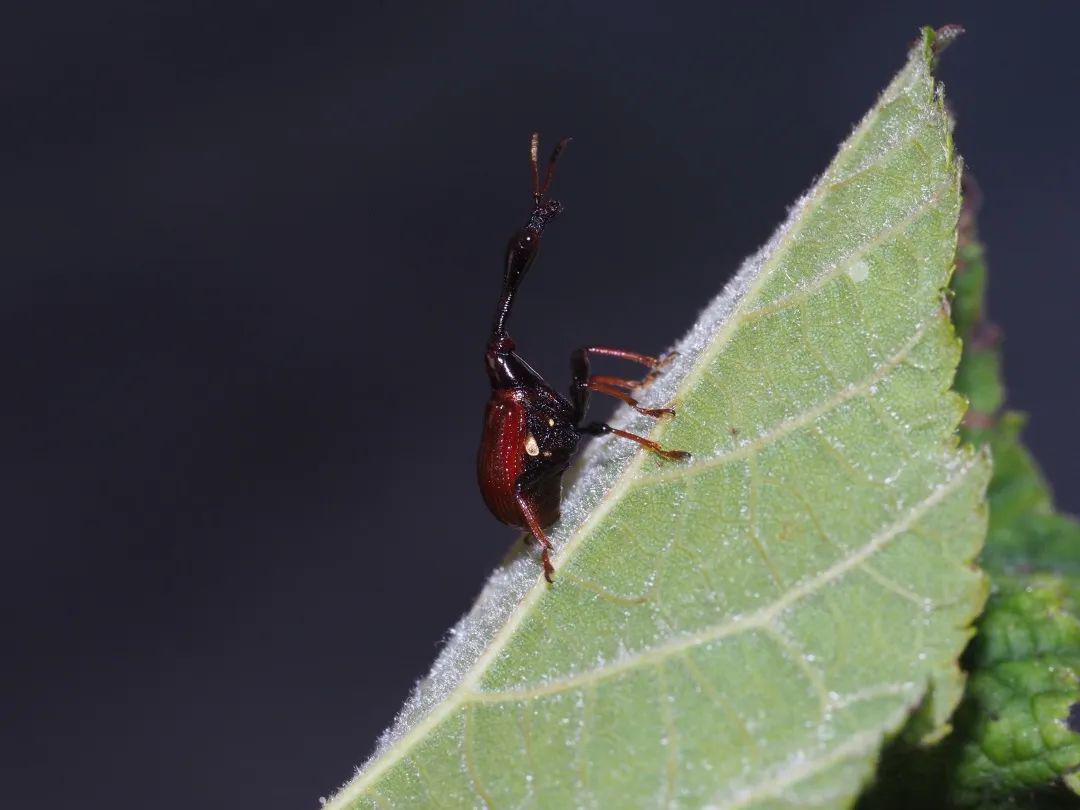 隐居乡里 x 野一夏 | 第五季,自由的味道!