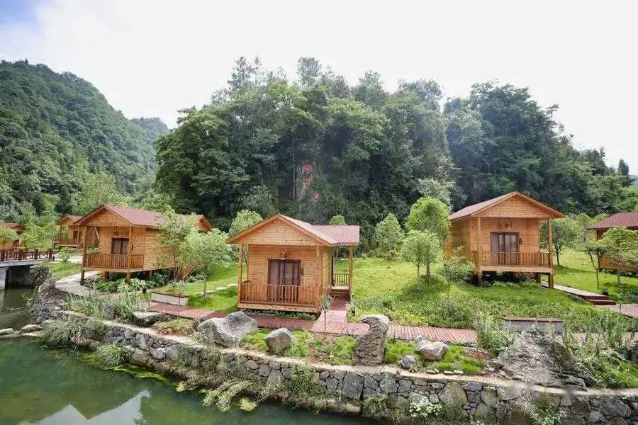 土城乡花栗树村首届花椒采摘节麻醉你的心