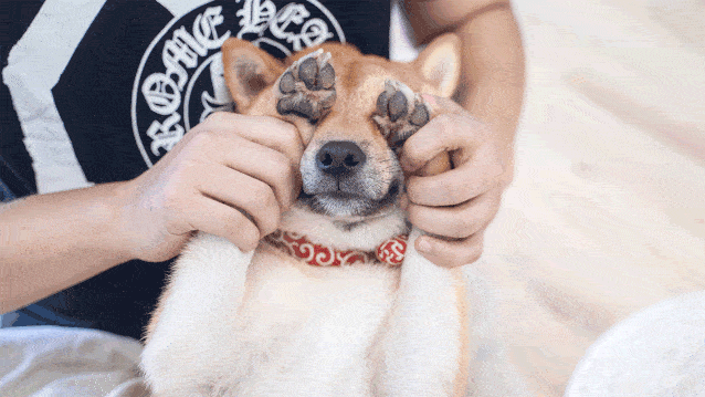 张嘴喂你一口甜从此拒绝树下柠檬精