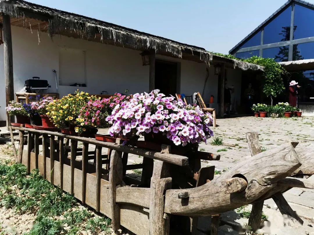 瑞光樂園龍門寺水庫雲峰村村史館十井村5月13日,我們按照長豐縣委宣傳