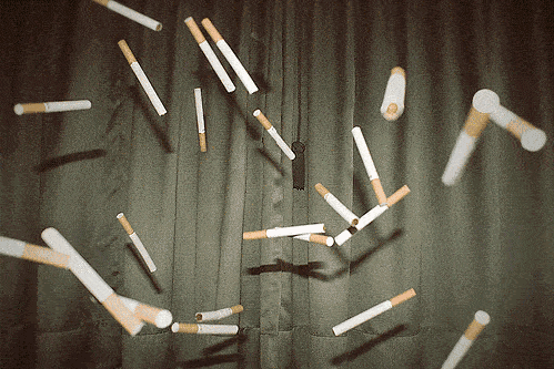 499_333gif 动态图 动图