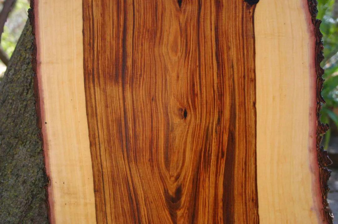 查获硬木50柜700方莫桑比克遏制森林砍伐升级红木市场这9种木头或将受