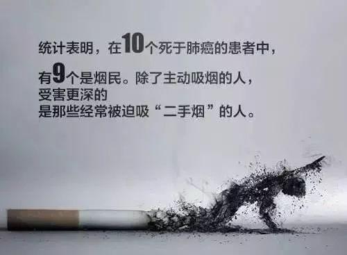 【海贝阳光】世界无烟日:烟草吞噬生命,不要让香烟污染下一代!