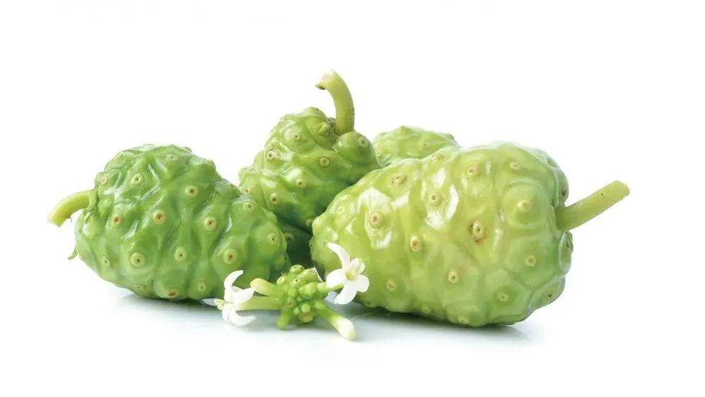 越了解越深爱,诺丽真的是一个奇迹!_手机搜狐网