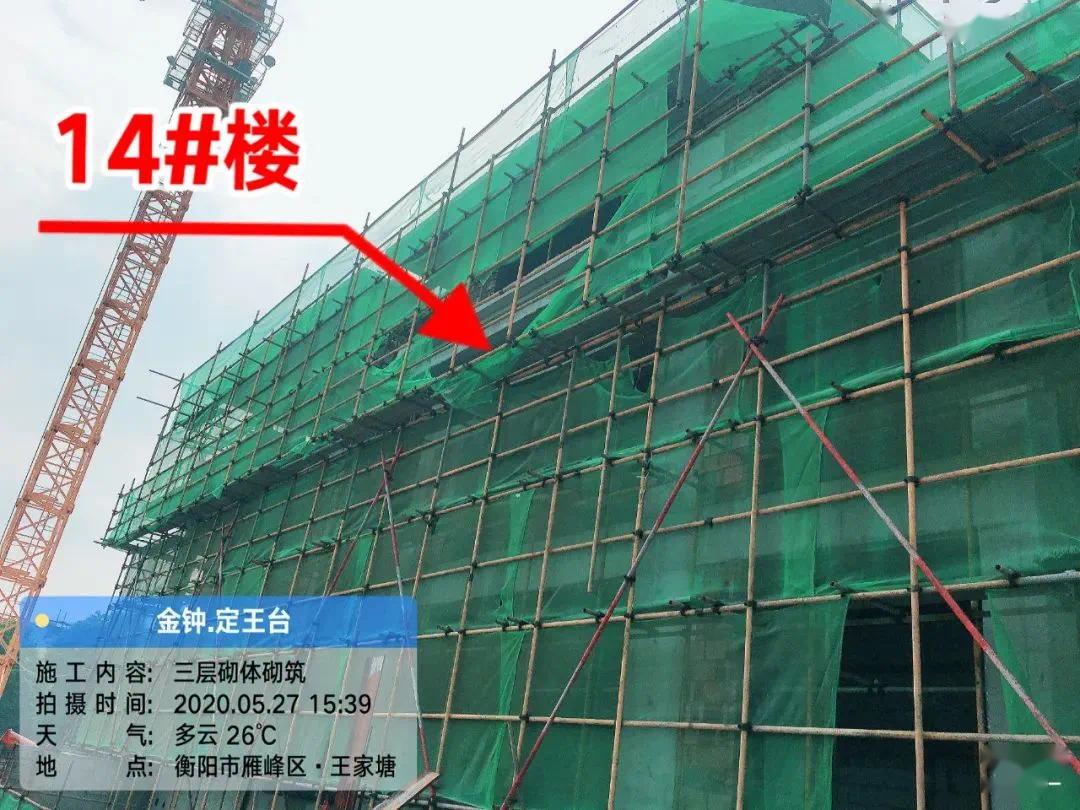 金钟定王台5月家书丨夏韵流转,盛景渐现!