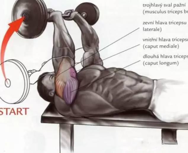55个基础动作运动轨迹,认真看完相当于上了一节私教课