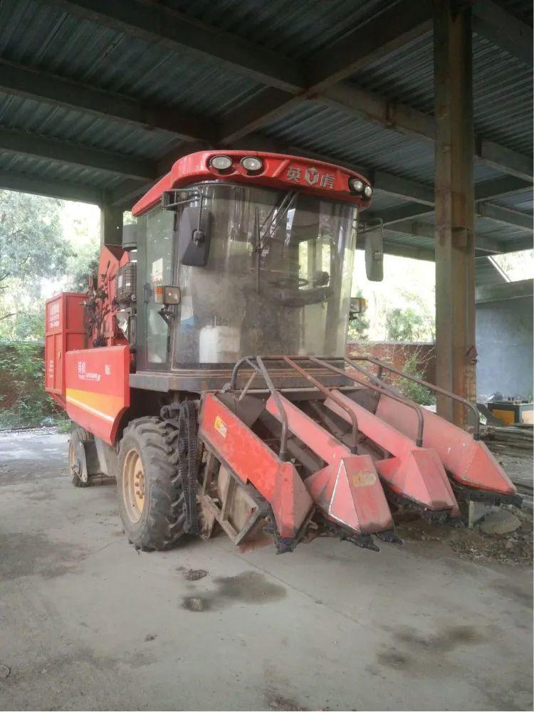 9.2万出售英虎3行玉米收割机