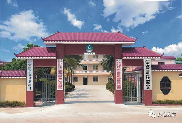 茂名市公馆镇榜上有名!