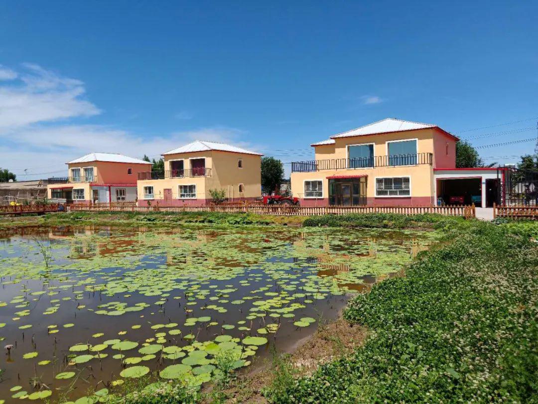 快看博乐市这个村有了夜市点亮农村夜生活