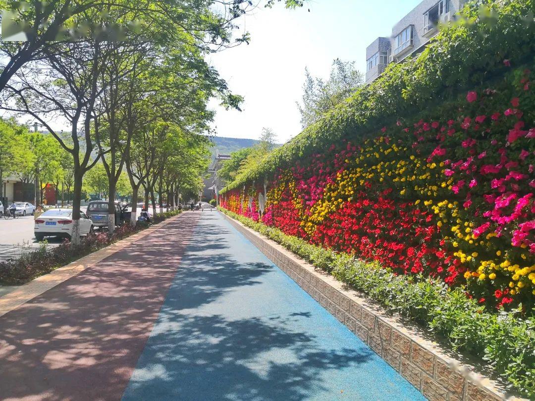 初夏的蓝田阳光正好微风不燥