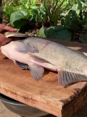 小伙抓来一条9斤大雄鱼头一次见这新鲜做法肉质鲜美真香江华