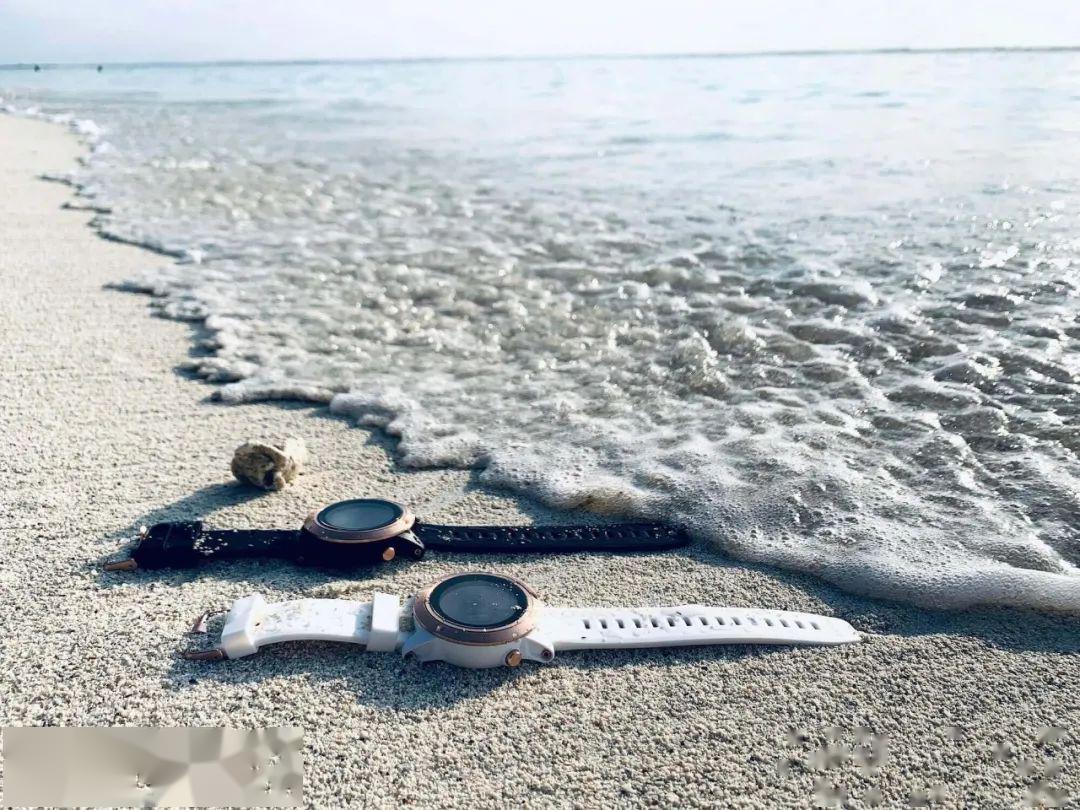 马尔代夫深南线与虎鲨零距离接触的一瞬间虎鲨蝠鲼蔷薇真鲨灰礁鲨潜水