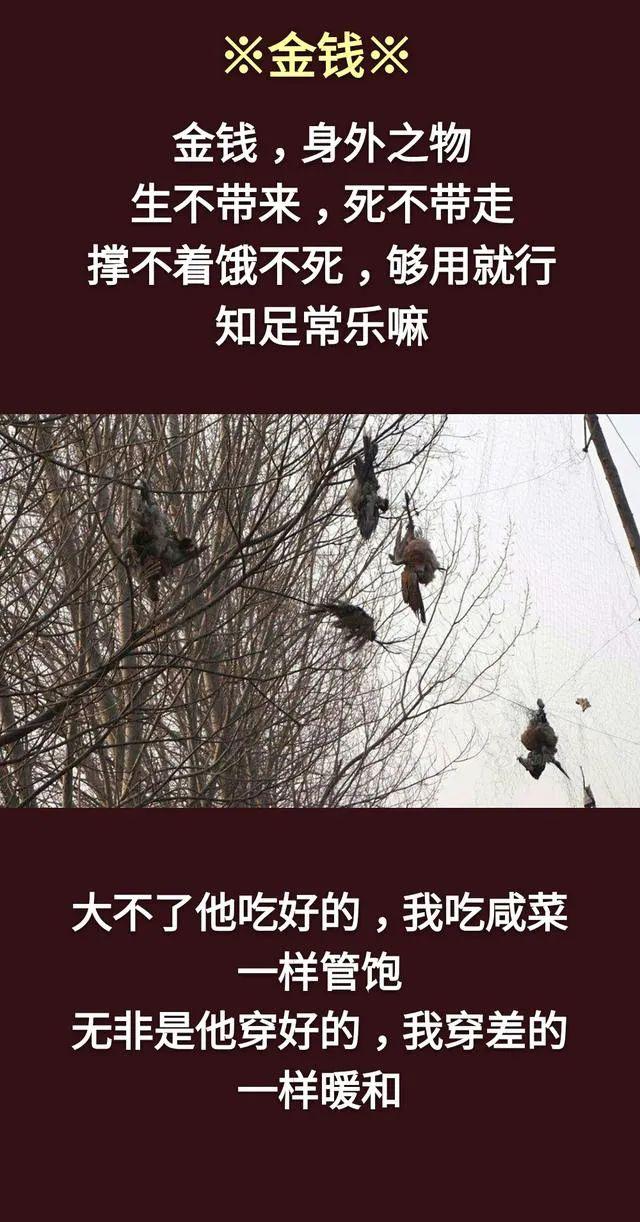 747474一个人是富贵还是贫穷命里早已注定