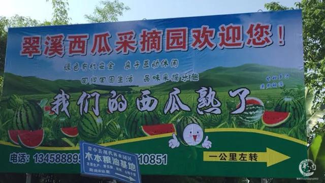 石村的西瓜种植基地紧挨玫瑰园摘完西瓜,吃喝玩乐都可以满足采摘地址