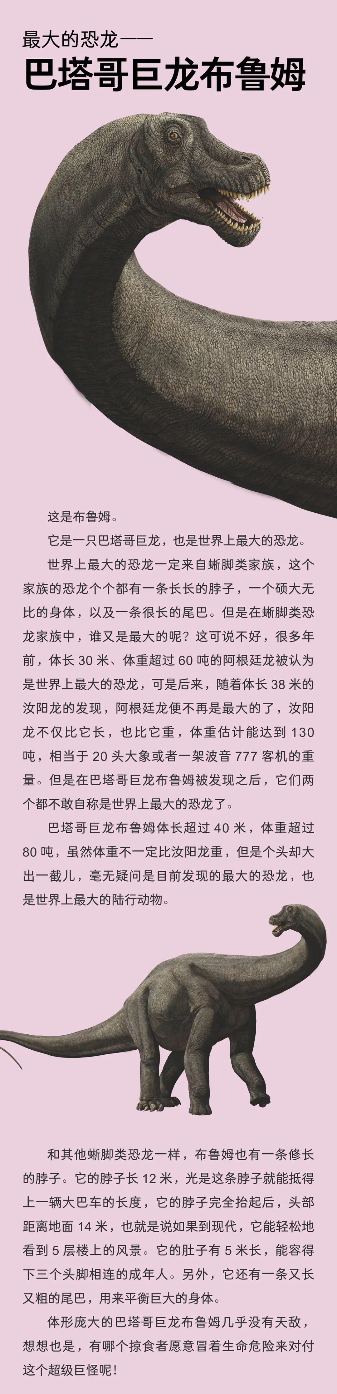 最大的恐龙巴塔哥巨龙布鲁姆