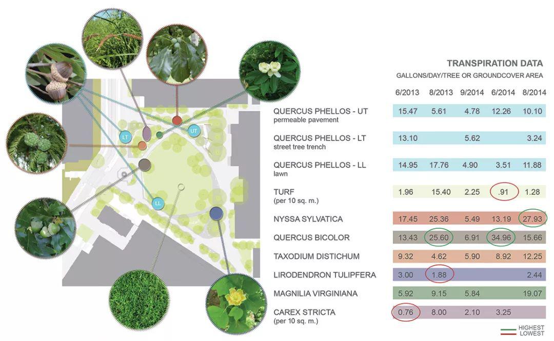 干货两次获得asla大奖的经典雨水花园案例城市雨水系统的重构