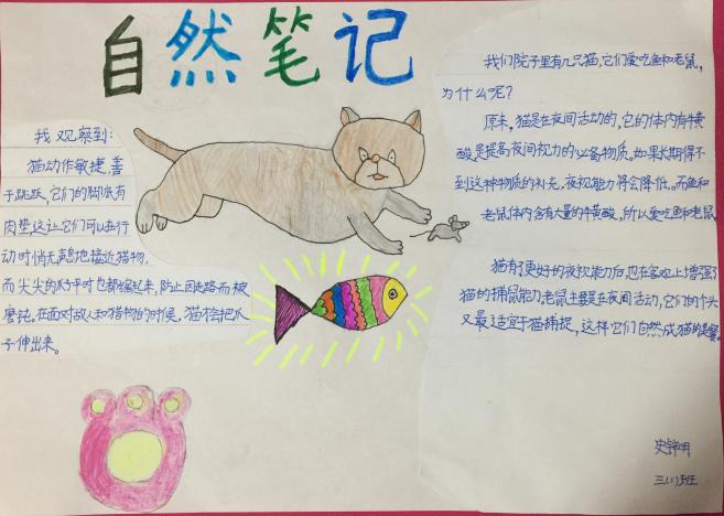 今天六一,一份神秘笔记从荆州这所小学流出