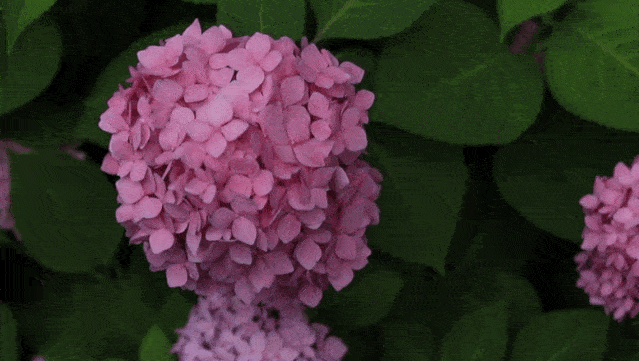 639_361gif 动态图 动图