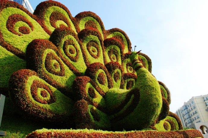 江苏景盛源大型绿雕造型大花篮倾力打造亮相苏州金鸡湖畔伴游客共度