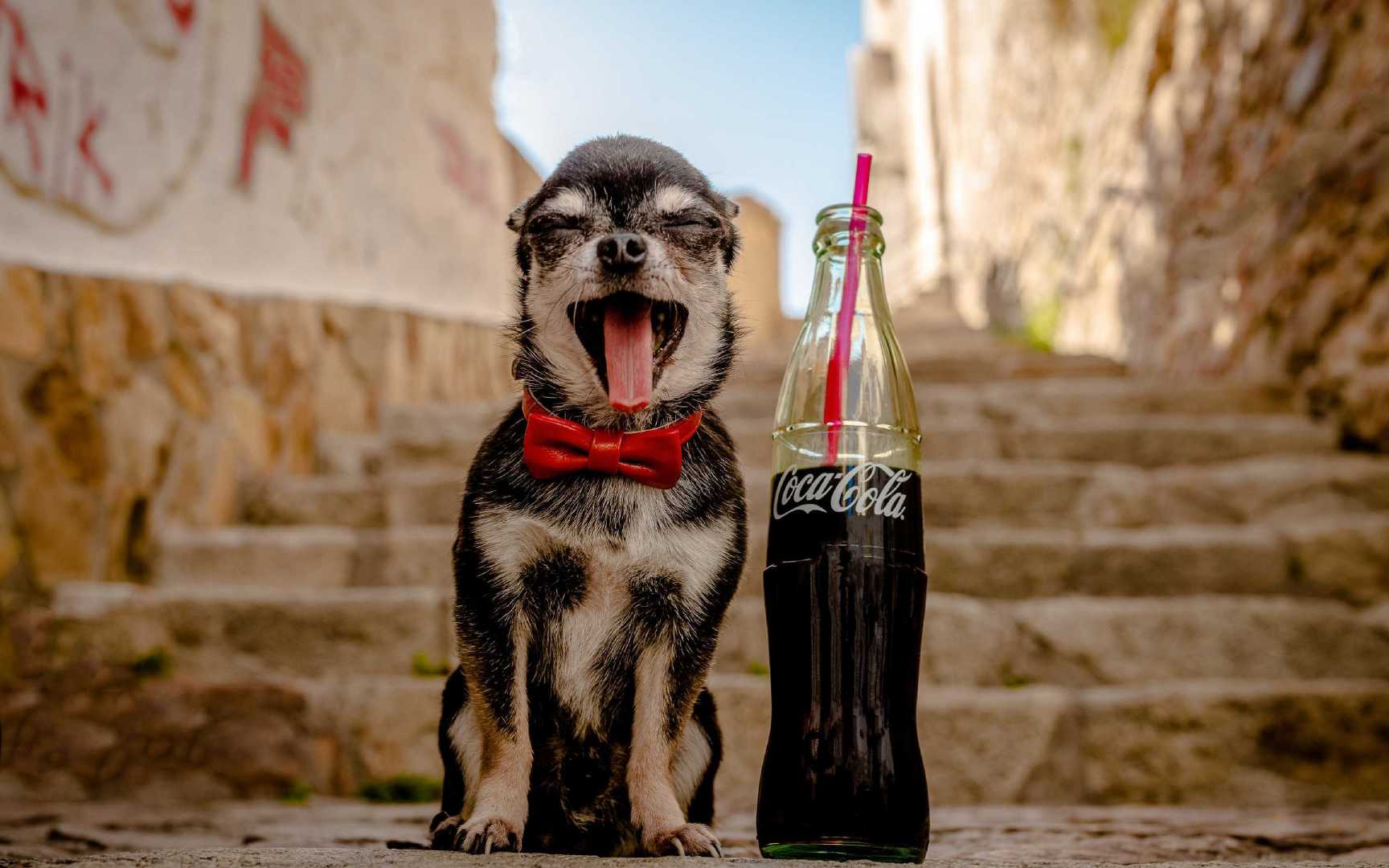 2020-10-29 20:08 来源:柯乐影视 原标题:69岁被性侵,因为年龄就该被