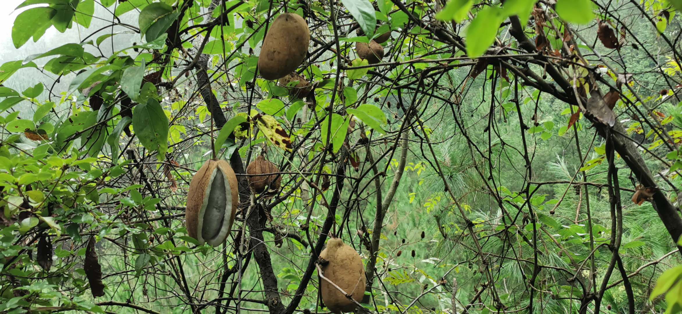 学习先进榜样 凝聚力量奔小康_攻坚