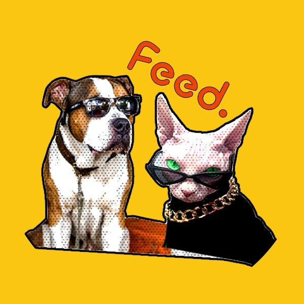 穷的只剩下狗,狗还要被拿去拍卖是啥感觉?