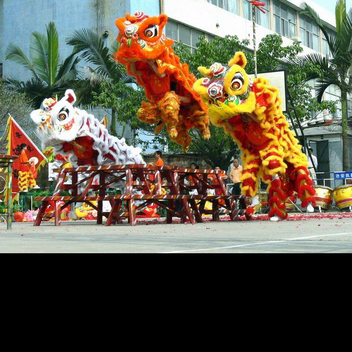 上海舞狮队 舞龙舞狮开业庆典 婚礼晚会景区大小型梅花桩舞狮表演价格 狮子 上海舞狮队 舞龙舞狮开业庆典 婚礼晚会景区大小型梅花桩舞狮表演价格 狮子