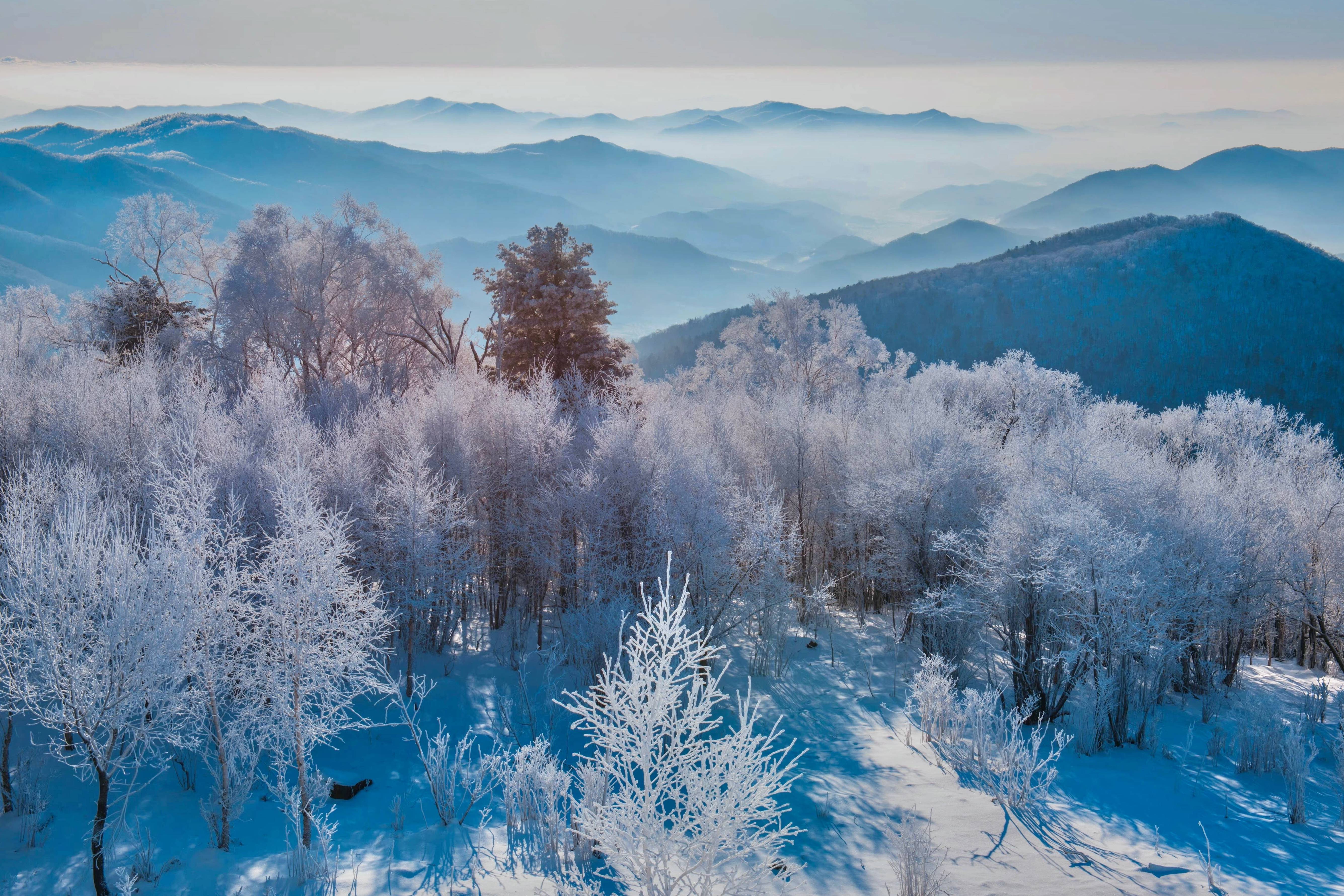 邂逅吉林北大湖滑雪胜地雾凇美景,美如仙境!