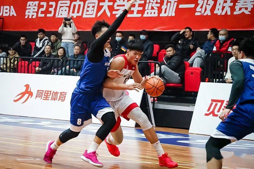 枫叶 vs 鲨鱼