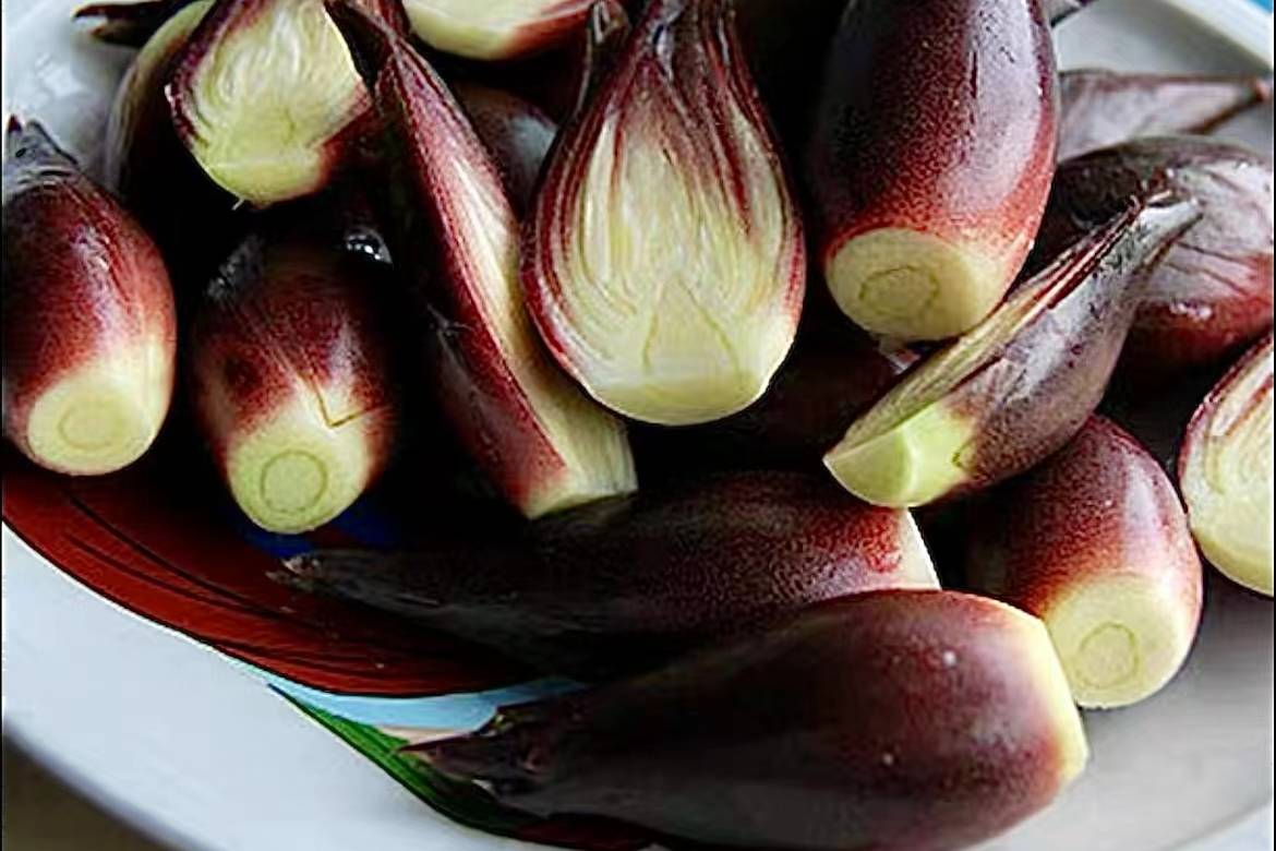 蘘荷是一种奇妙的中国本土蔬菜