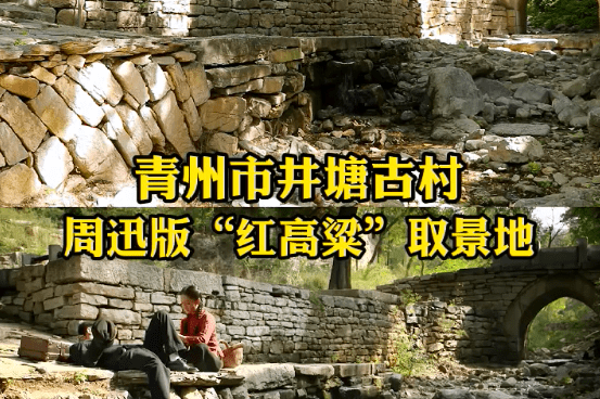 红高粱720p