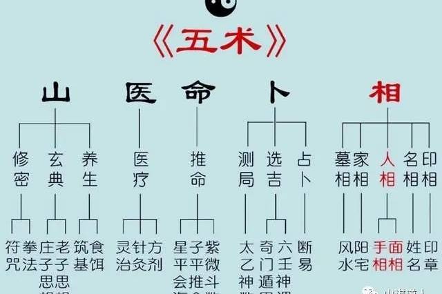 五体相学図解 乾坤 人相手相 五體相學圖解 掌中流年圖 孤神格