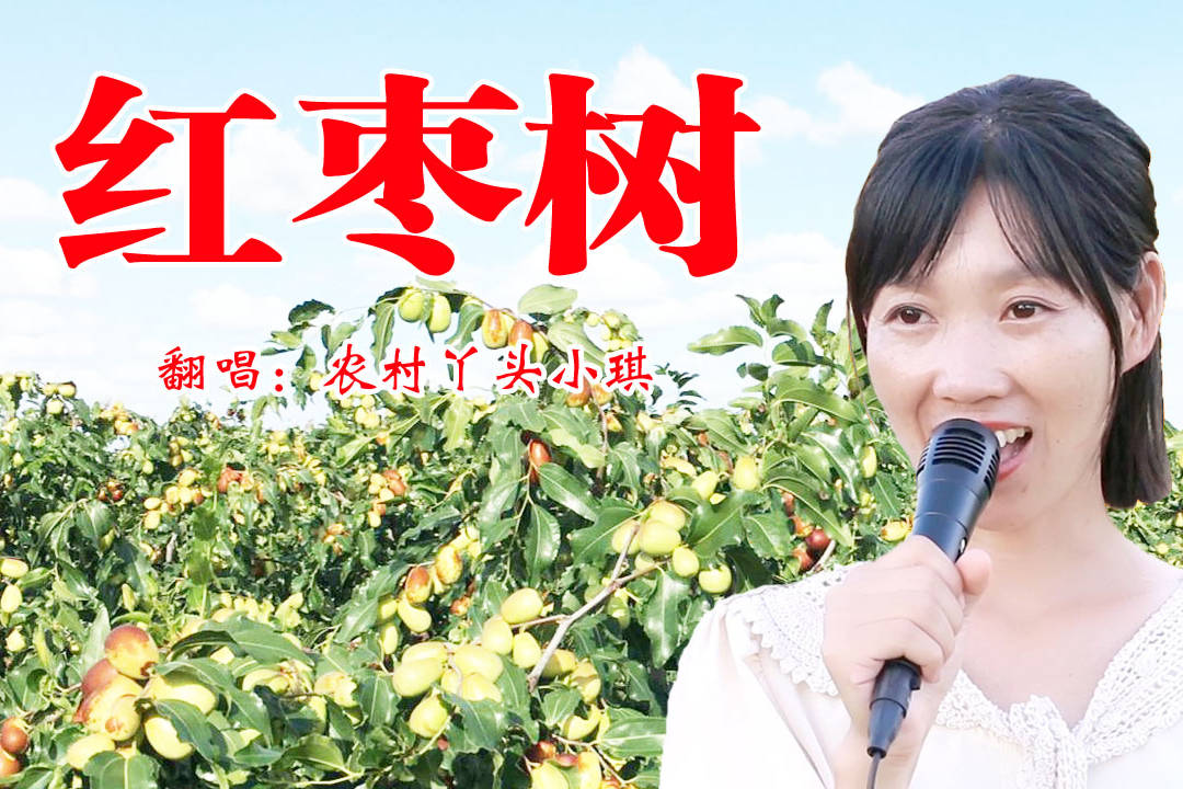 歌曲红枣树随着那磋砣的岁月你是否依然花香如故