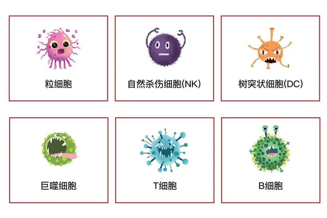 储存免疫细胞的最佳时段