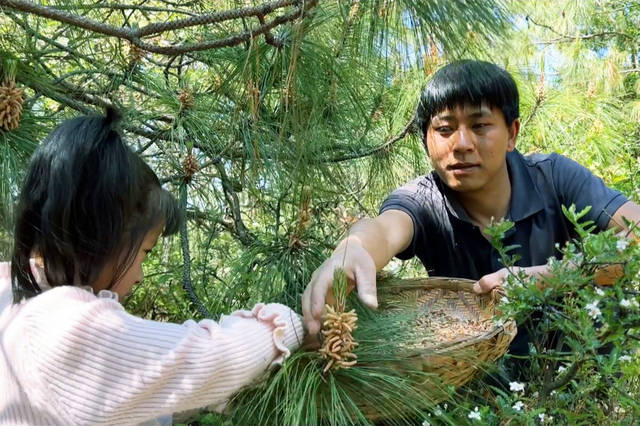 乡村野光