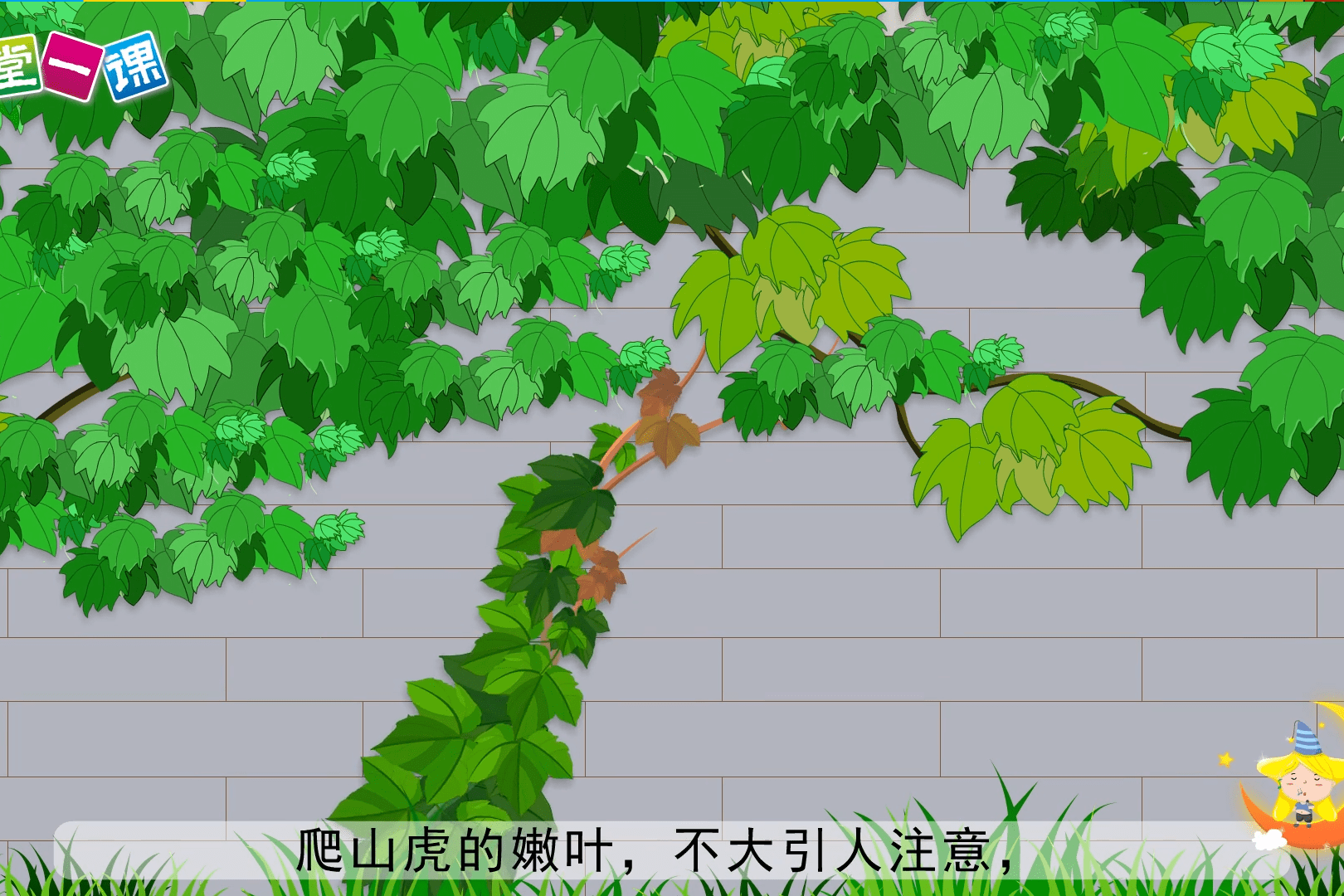 四年级上册爬山虎的脚小学语文课文动画教辅一堂一课app