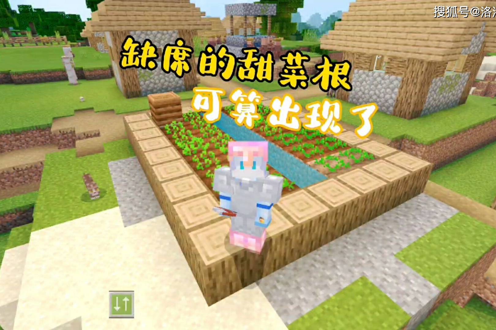 我的世界117生存58缺席的甜菜根可算在这村庄出现了