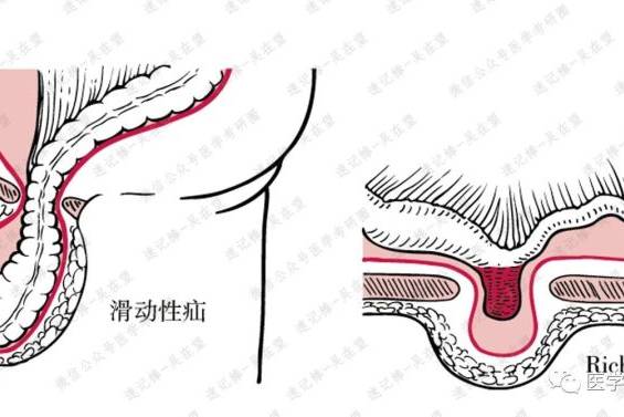 医学思维导图的个人展示页