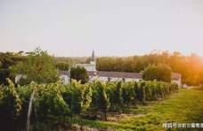 法国波尔多的卡迪亚克、布拉伊丘和布尔格丘产区的葡萄酒简介