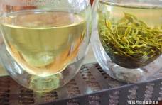 崂山绿茶浓郁的豌豆香时候来啦！