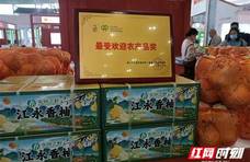 “江永香柚”“江永香芋”喜获23届农博会最受欢迎农产品奖、金奖