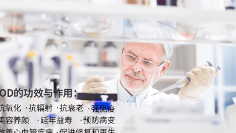 探索 SOD 四大功效对生老病的巨大影响！