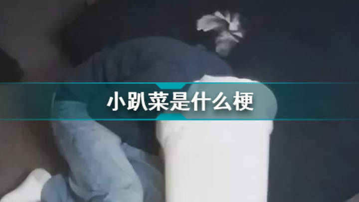 你知道“小趴菜”是什么意思吗？