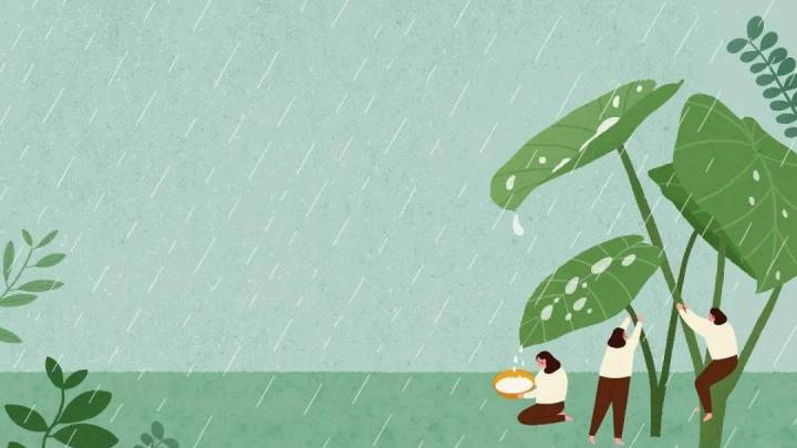 你知道春雨贵如油吗？