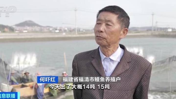 超1000万中国人每月至少吃1次，鳗鱼还会供不应求吗？