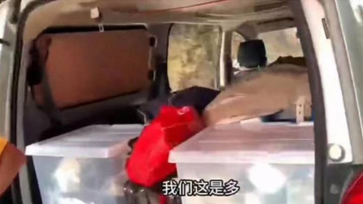 自驾游携带较多日用品，属于人货混装吗？