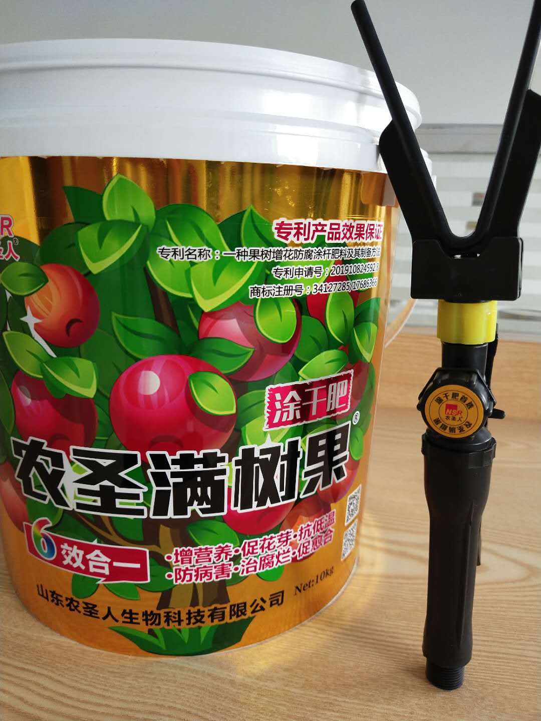 果树_萌芽_树体翘