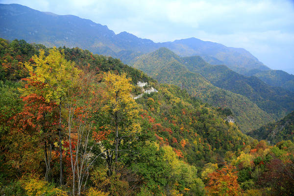 在黄柏塬景区内住下,当天可以先游览距离较近的核桃坪原始森林公园,第