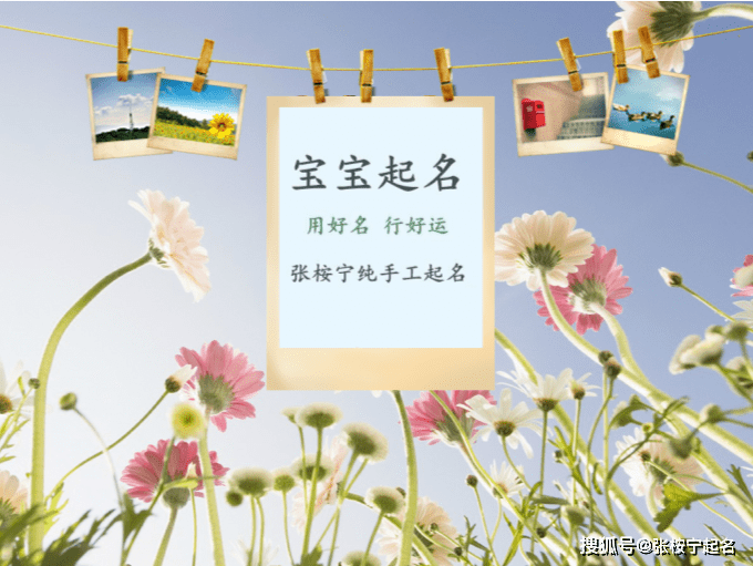 服装 服装公司名称简单大气